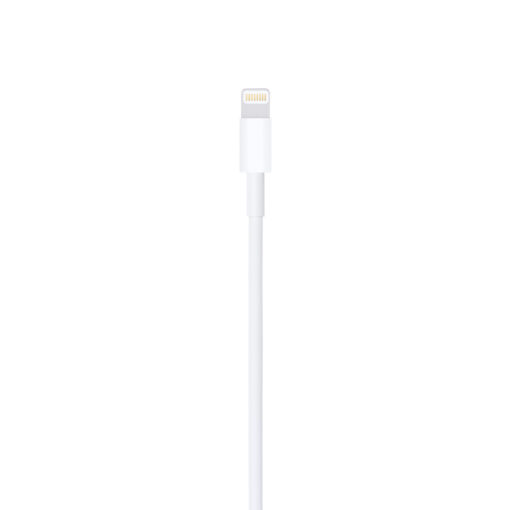 Lightning to USB Cable (1 m)
