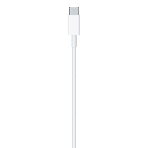 Apple Official USB C to Lightning Cable (1 m)